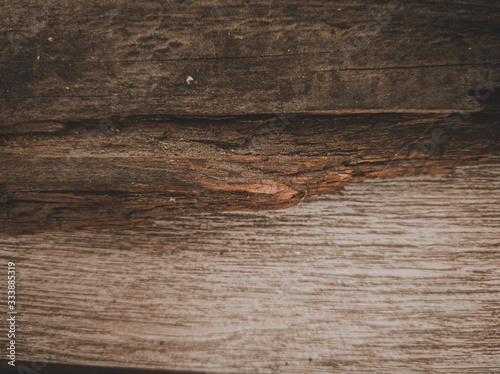 texture wood for background creative 