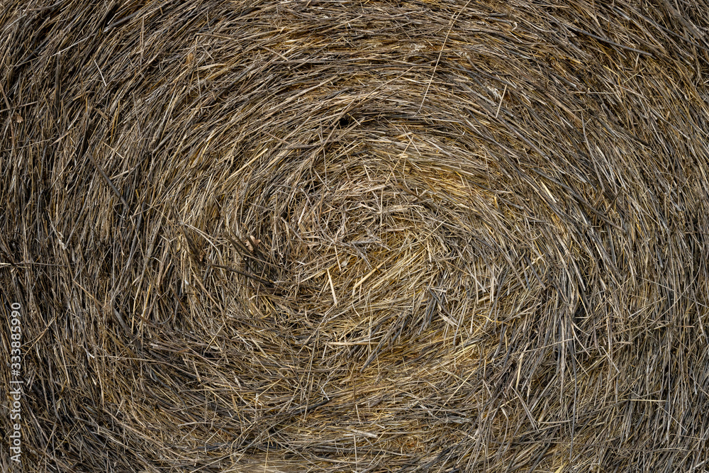 Strohballen mit interessanten, kreisrunden Strukturen und Formen Strohballen mit interessanten, kreisrunden Strukturen und Formen