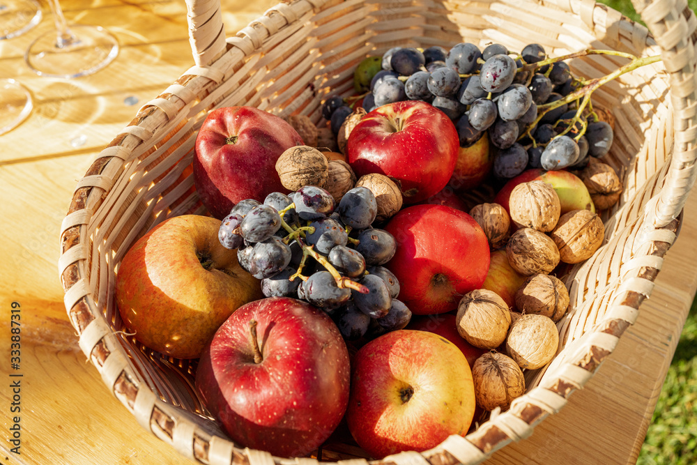 Autumn fruits in a basket. Fresh apples, nuts and grapes in autumn light Autumn fruits in a basket. Fresh apples, nuts and grapes in autumn light