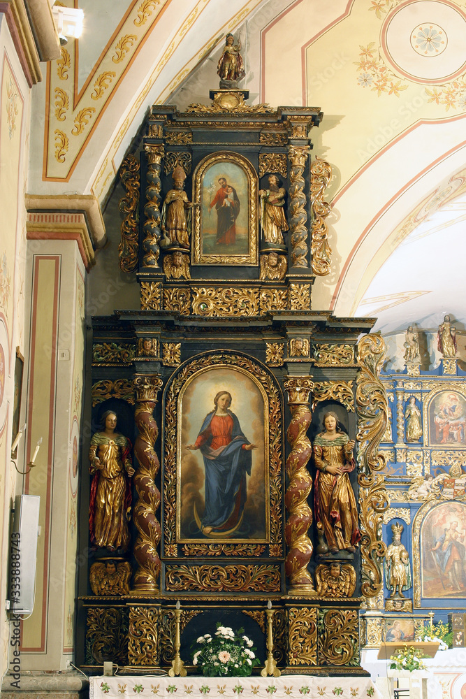 The Altar of the Immaculate Conception of the Virgin Mary at church of St. Barbara in Vrapce, Zagreb, Croatia