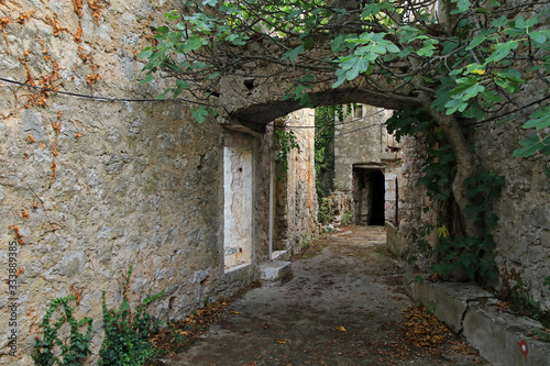 Fototapeta Naklejka Na Ścianę i Meble -  Malo Grablje, Little Grablje, ghost village, abandoned village on Hvar island, Croatia