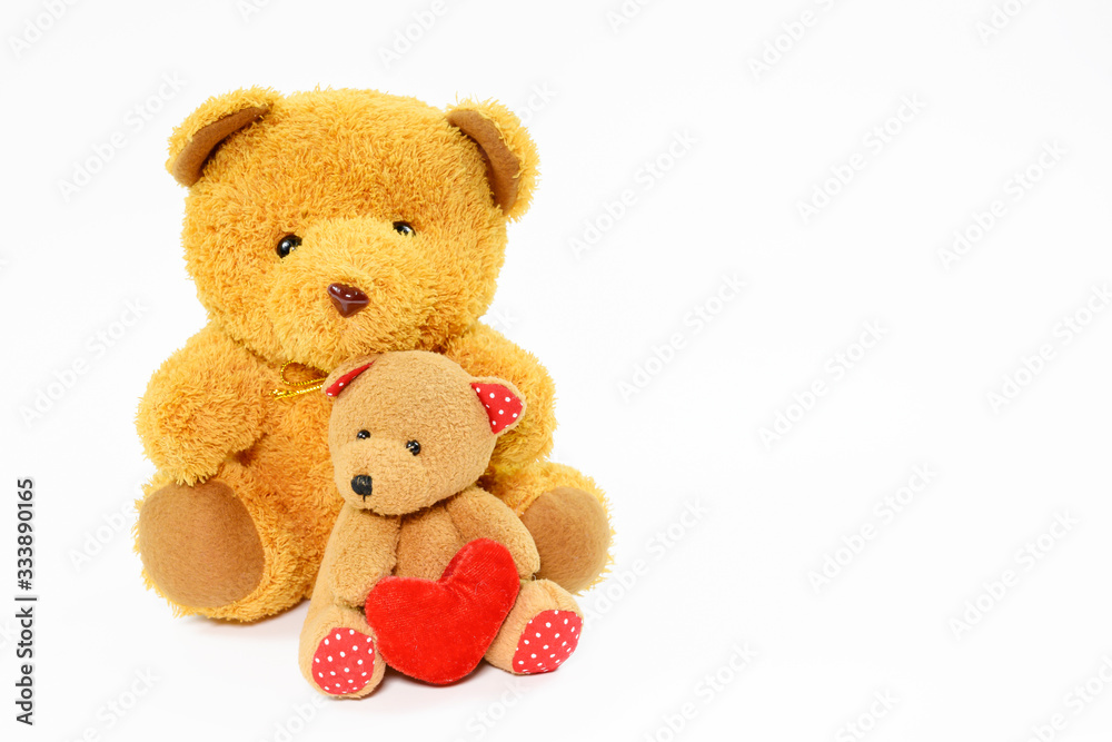 Obraz premium Two teddy bears on a white background