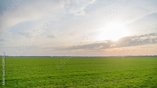 green field and sun at sunset