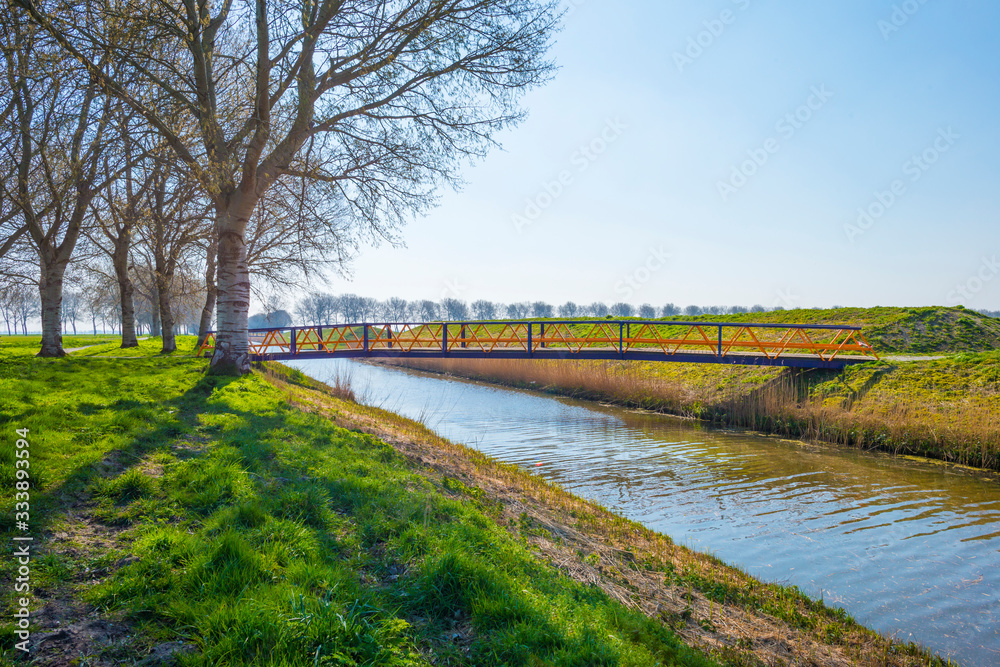 Canal with reed in wetland below a blue sky in sunlight in spring Canal with reed in wetland below a blue sky in sunlight in spring
