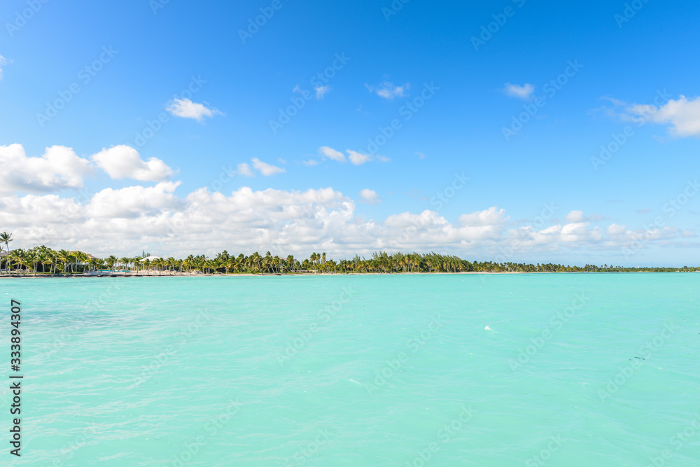 caribbean beach with palms tree