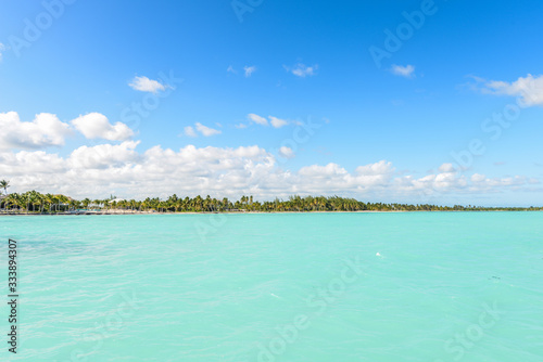 caribbean beach with palms tree © Pedro