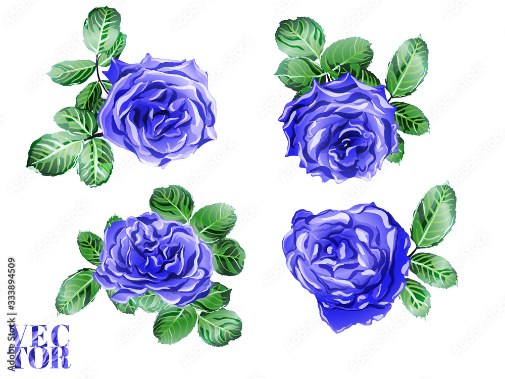Vector Rose Background. Vector Rose Background.