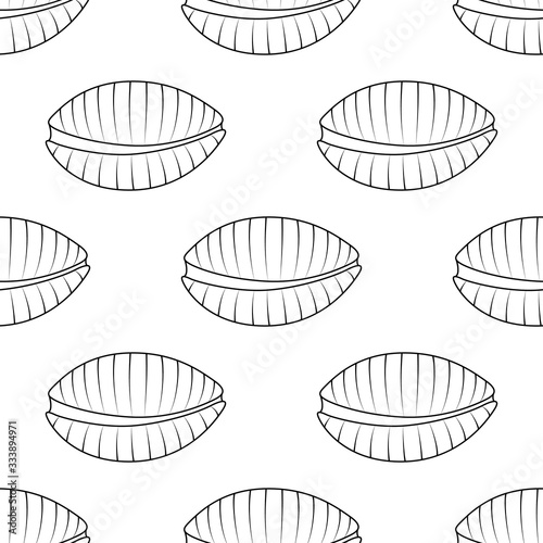 Vector seamless pattern with hand drawn seashells. Beautiful marine design elements for print, packaging, textile, wrapper.