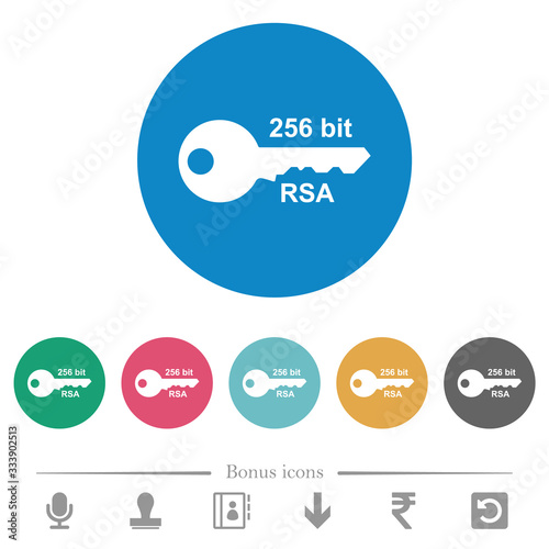 256 bit rsa encryption flat round icons