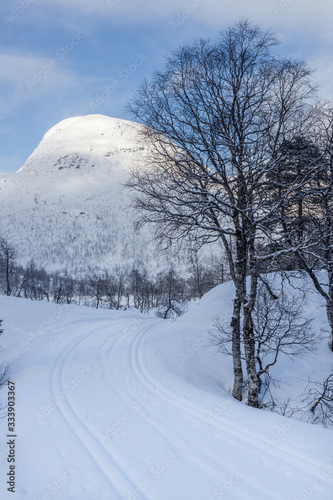 Fototapeta premium HORNINGDAL, NORWAY - 2016 FEBRUARY 15. Norwegian mountain with winter landscape with ski track