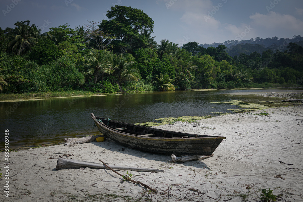boat on the river in the jungle
