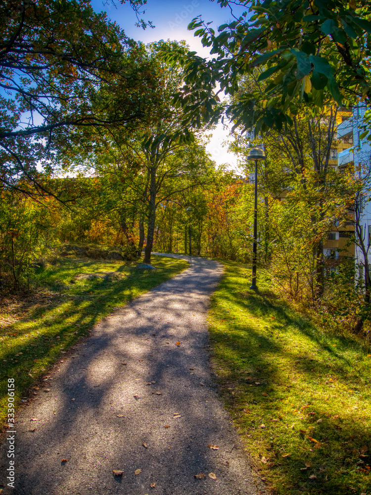 footpath in the park footpath in the park