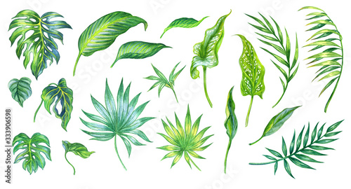 Set of tropical leaves, watercolor illustration on a white background, isolated.