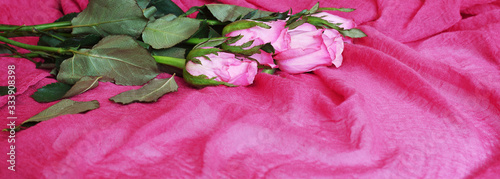 Pink rose flowers on folded...