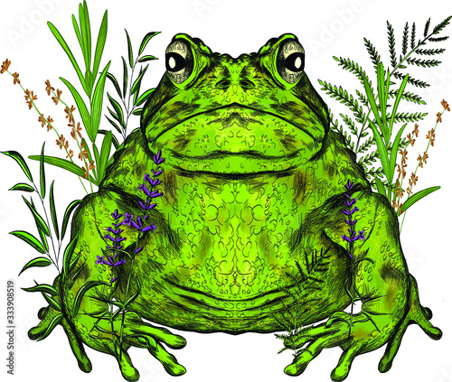 toad green with branches overgrown the flowers reeds composition animal symmetric vector illustration