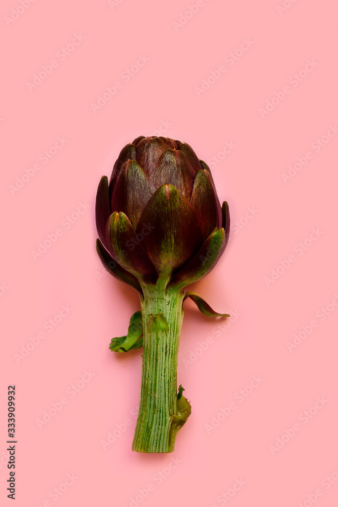 Fototapeta premium fresh artichokes on a pink background. layout top view. concept of seasonal vegetables. delivery of fresh vegetables