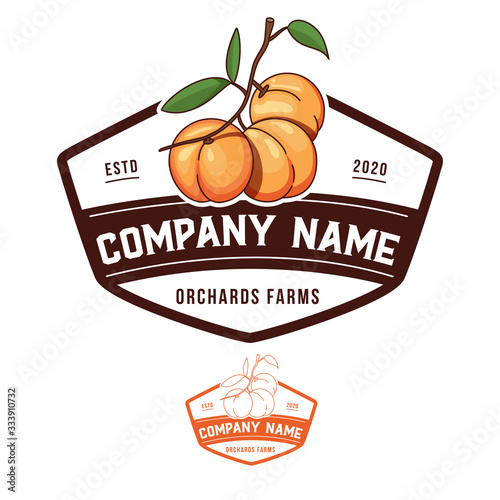 Peaches orchard logo Template