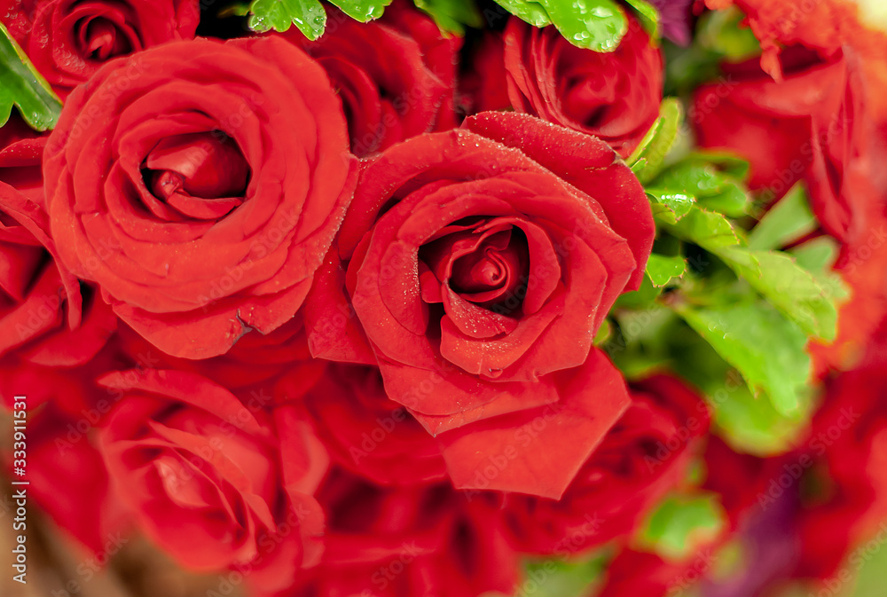 Bouquet of fresh roses, flower bright background. Bouquet of fresh roses, flower bright background.