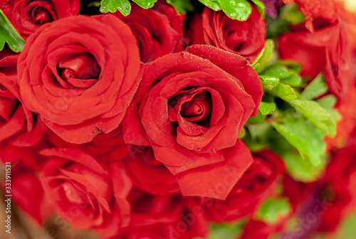 Bouquet of fresh roses  flower bright background.