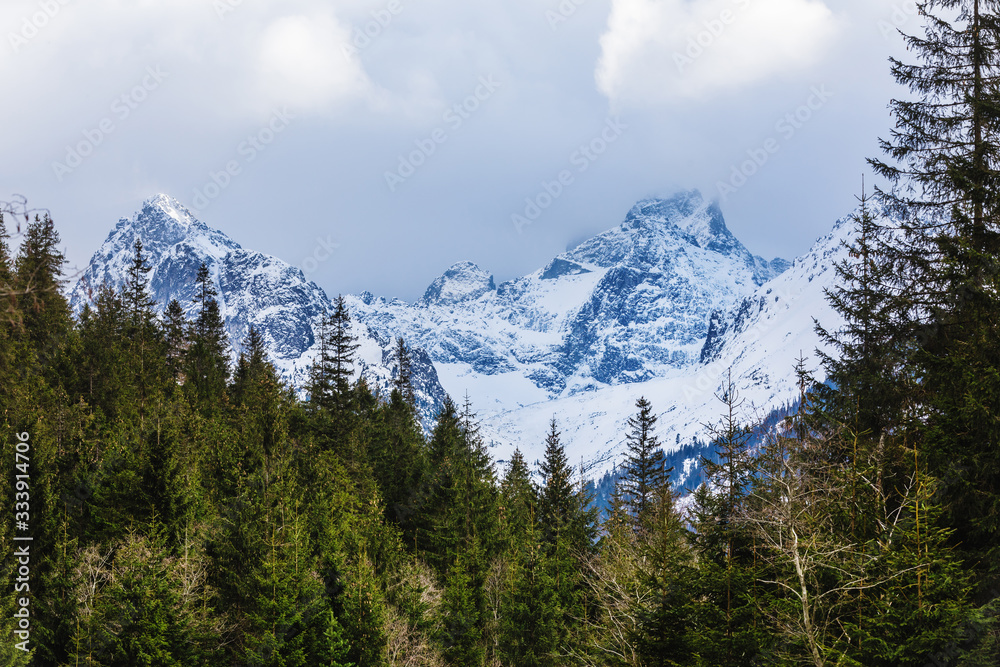 Hohe Tatra