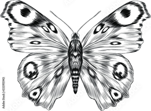 peacock eye fabulous barcode sketch of the tattoo coloring black and white beautiful Urania Madagascar vector illustration butterfly