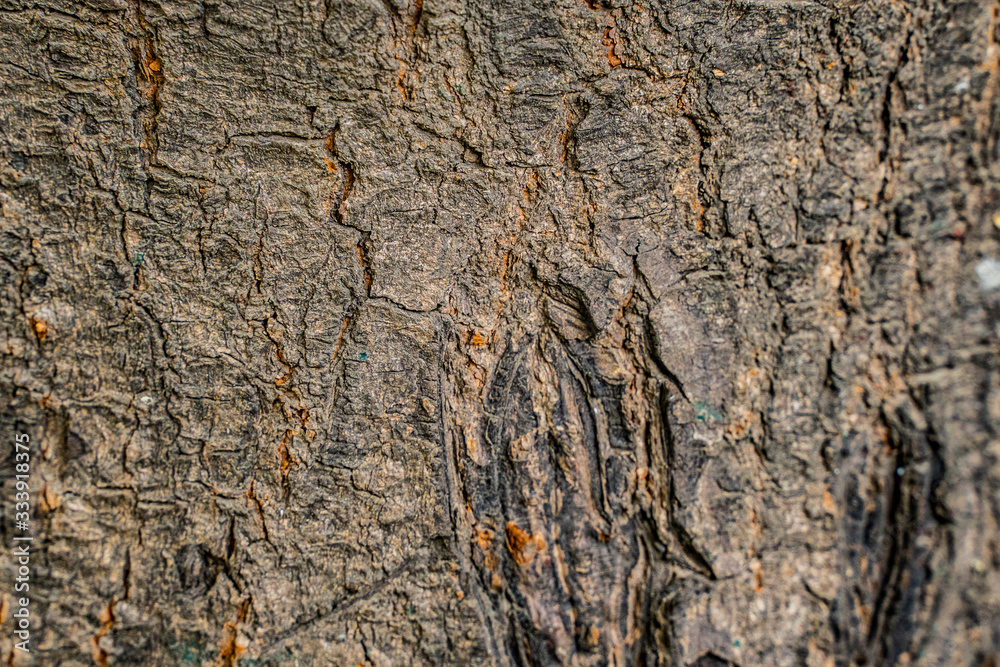 Background Texture Background Texture