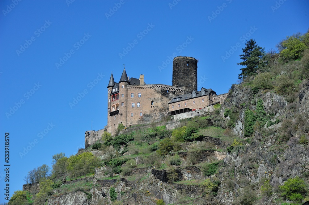 Burg Maus im Rheintal
