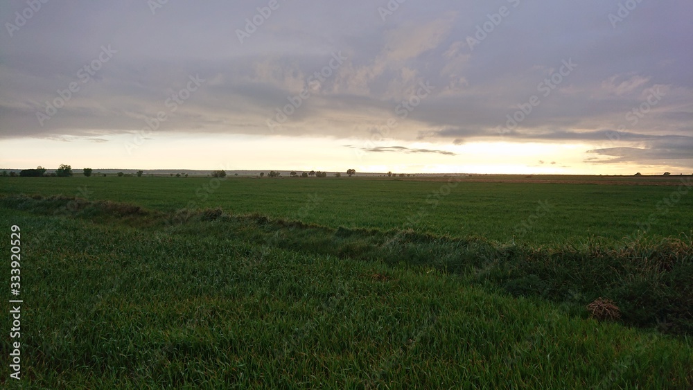 sunset over field