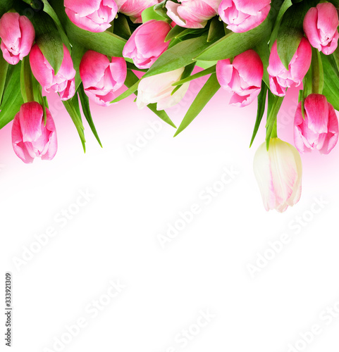 Fototapeta Naklejka Na Ścianę i Meble -  Pink tulip flowers border