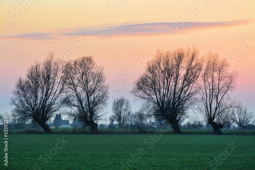 sunset on Zuławy Wislane in Poland, beautiful landscape