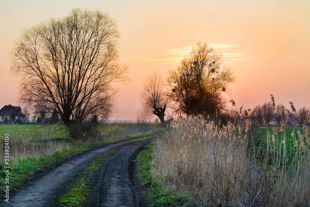sunset on Zuławy Wislane in Poland, beautiful landscape sunset on Zuławy Wislane in Poland, beautiful landscape