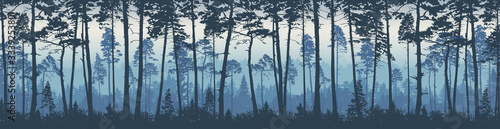 Forest landscape background. Trees pines at dawn. Nature.  Tourism and travelling. Coniferous forest, vector silhouette