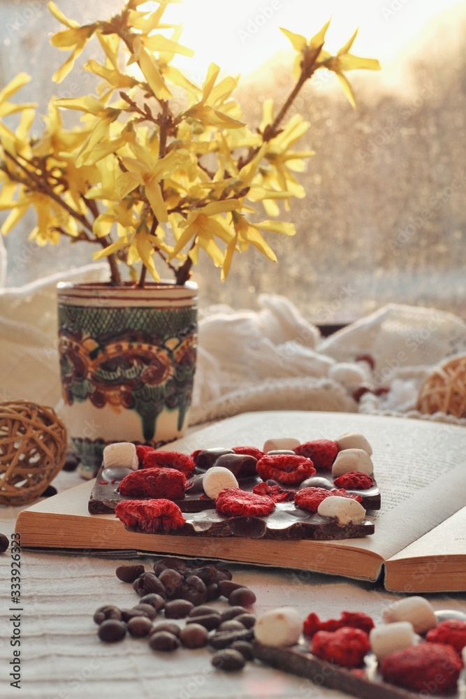Crafted handmade chocolate bar with marshmallow and berries, coffee beans and good book