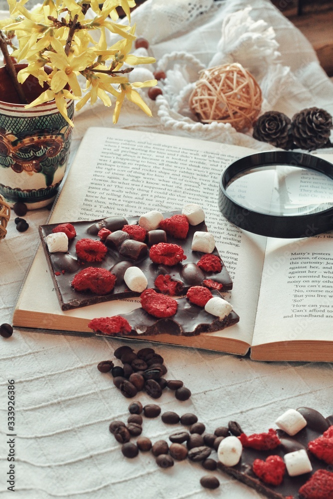 Crafted handmade chocolate bar with marshmallow and berries, coffee beans and good book
