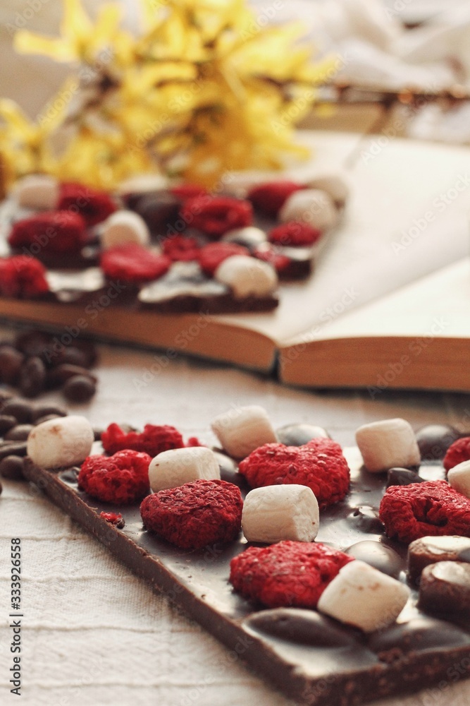 Crafted handmade chocolate bar with marshmallow and berries, coffee beans and good book, detailed close up
