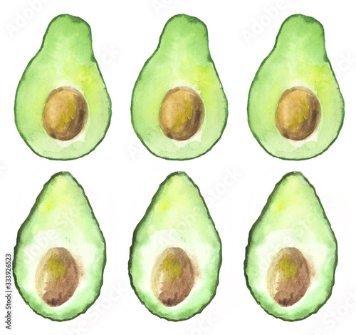 Watercolor hand drawn avocado. isolated on white