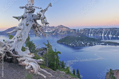 Landscape at dawn of Crater Lake National Park with conifers, Wizard Island, and crater rim, Oregon, USA photo