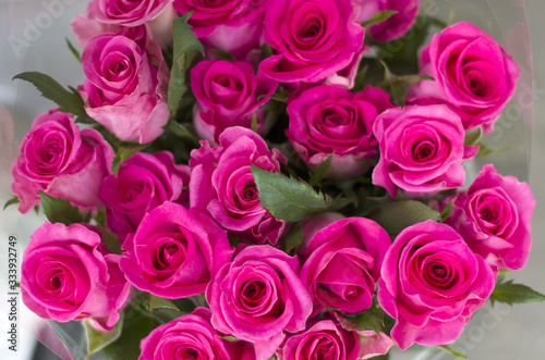 Pink roses close-up. A bouquet of pink roses in a beautiful packing box.
