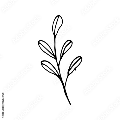 Cute single hand drawn herbal elements. Doodle vector illustration for wedding design  logo and greeting card.