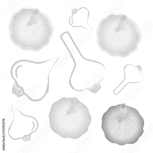 Knoblauch