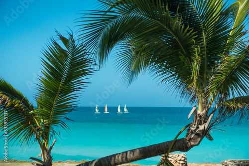Fototapeta Naklejka Na Ścianę i Meble -  Strand auf Kuba mit Segelbooten und Palmen