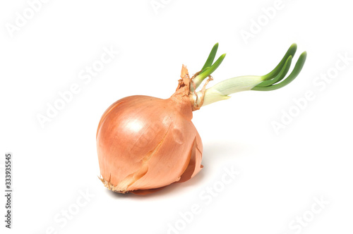 Closeup of onion with leaves on white background