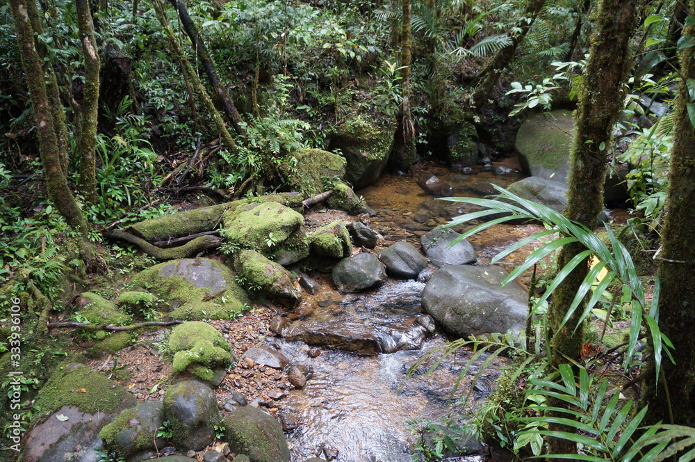 Kinabalu Nature Park is a nature park aimed at protecting the mountain area centered on three mountains. It is a national park in Malaysia and was listed as a UNESCO World Heritage Site in 2000. Kinabalu Nature Park is a nature park aimed at protecting the mountain area centered on three mountains. It is a national park in Malaysia and was listed as a UNESCO World Heritage Site in 2000.