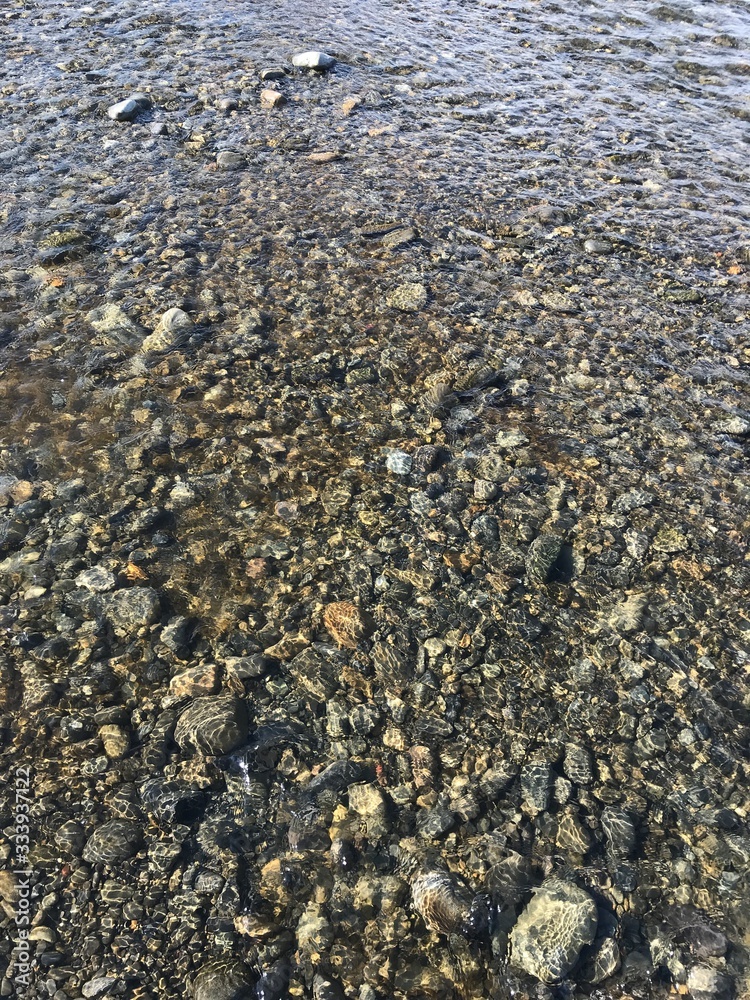 透明の川の水 透明の川の水