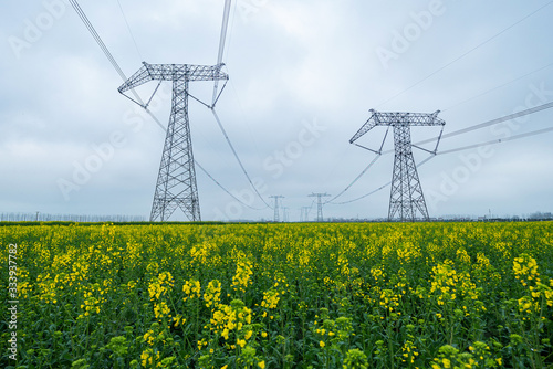 High voltage transmission tower in rape field