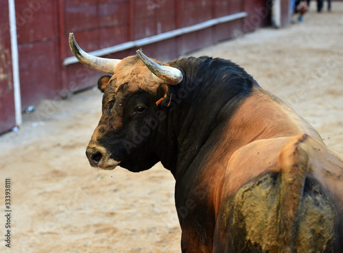 toro español