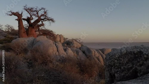 Sunrise timelapse on Kubu Island in Botswana photo