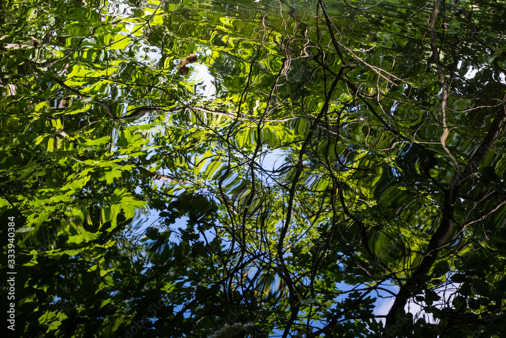 Fototapeta premium Smooth wavy water with reflection. Sky and forest reflected on the water surface, close-up, top view. Nature background.