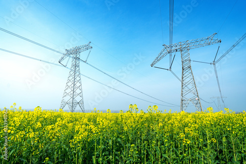 High voltage transmission tower in rape field