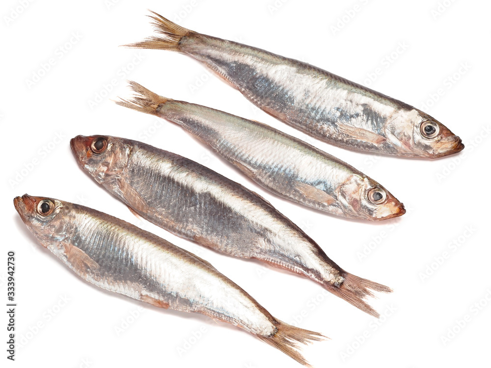 Sprat spicy salting on a white background Sprat spicy salting on a white background